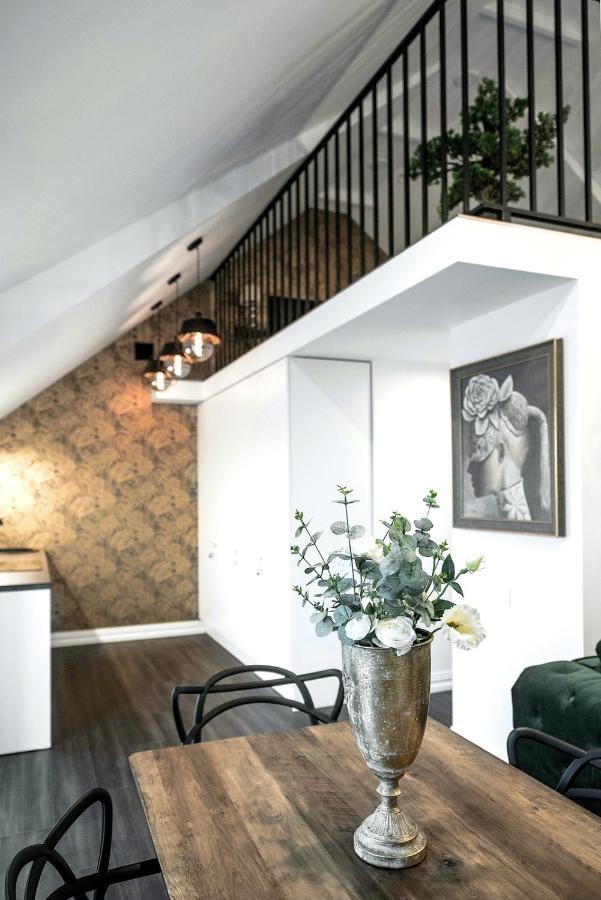 Apartmán Luxury Loft Kaunas Exteriér fotografie